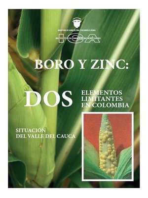 cover image of Boro y Zinc